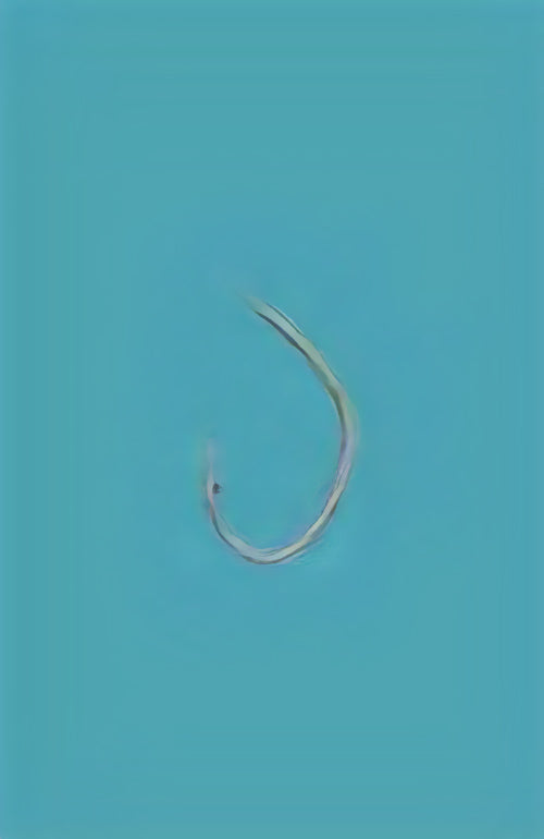 12-0002 むつ釣・アラ縄釣