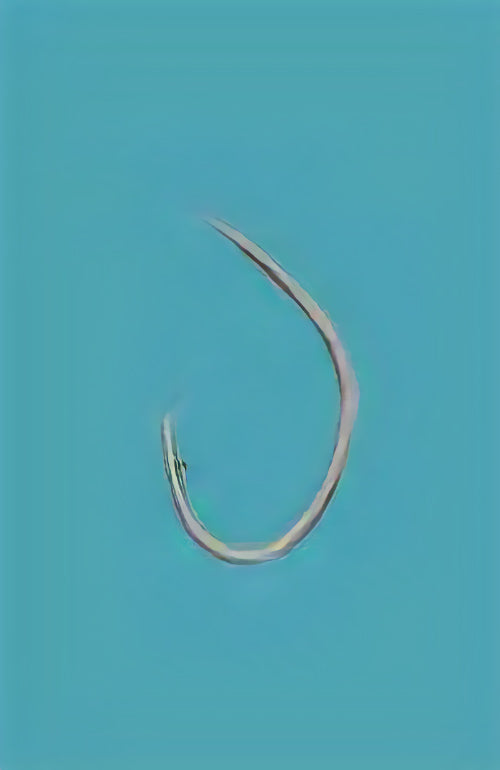 12-0008 むつ釣・アラ縄釣