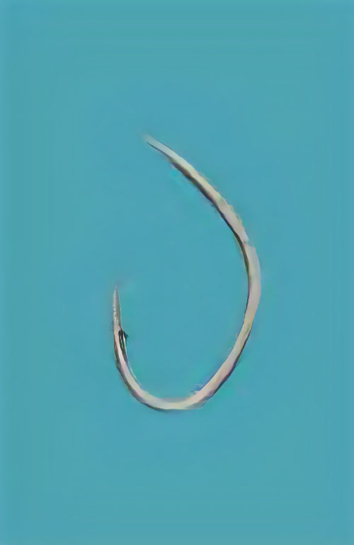 12-0010 むつ釣・アラ縄釣