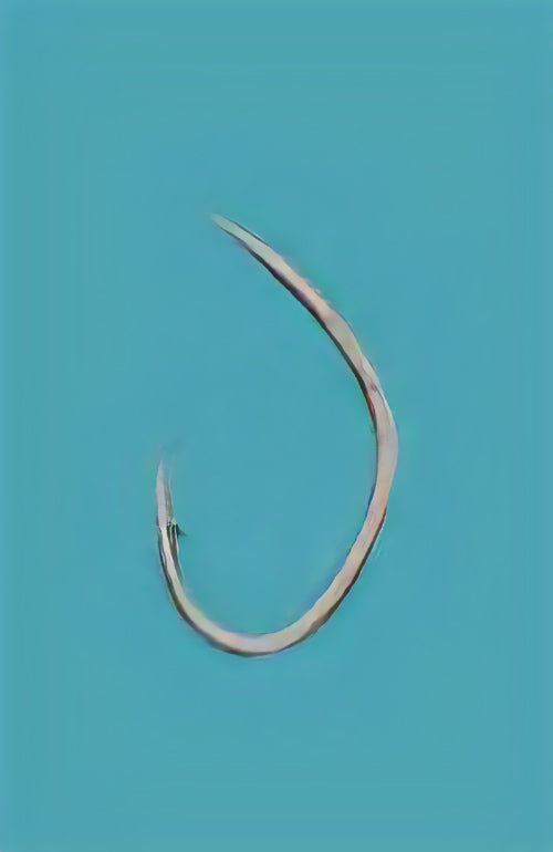 12-0011 むつ釣・アラ縄釣