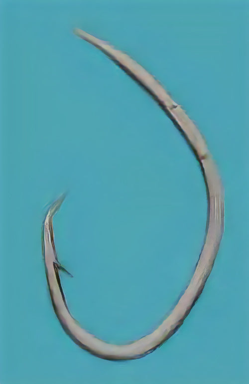 12-0021 むつ釣・アラ縄釣