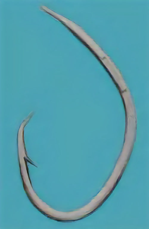 12-0022 むつ釣・アラ縄釣